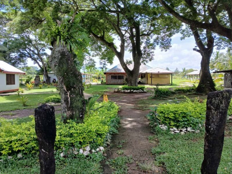 Fiji: Tifajek Mud Pool & Hotspring Tours & Tickets - Transport and Comfort