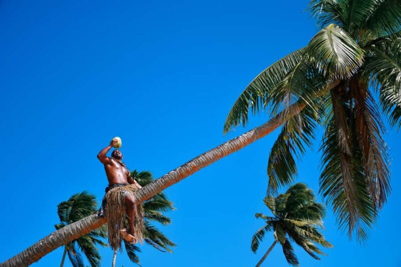 Fiji: Village & Mud-Crab Catching Tour - The Sum Up