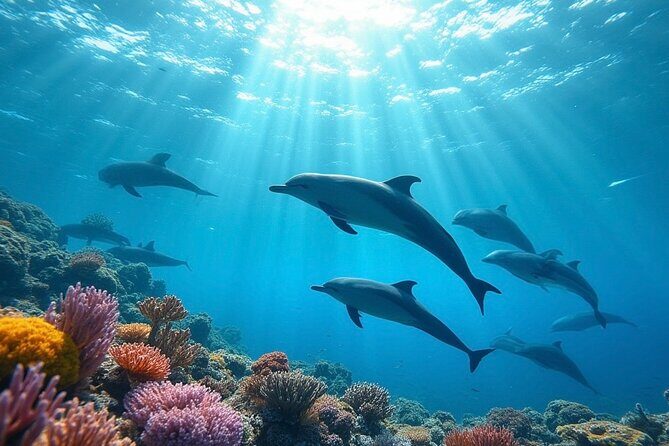 Fijis Best Dolphins tour and Snorkeling Adventure - Fiji’s Best Dolphins Tour and Snorkeling Adventure: An In-Depth Look