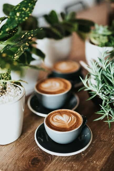 Fika Tour to hideaway cafés - Key Points