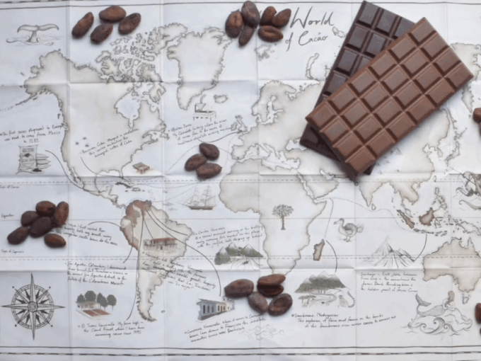 Fine Chocolate Tasting in Turin - Customer Feedback
