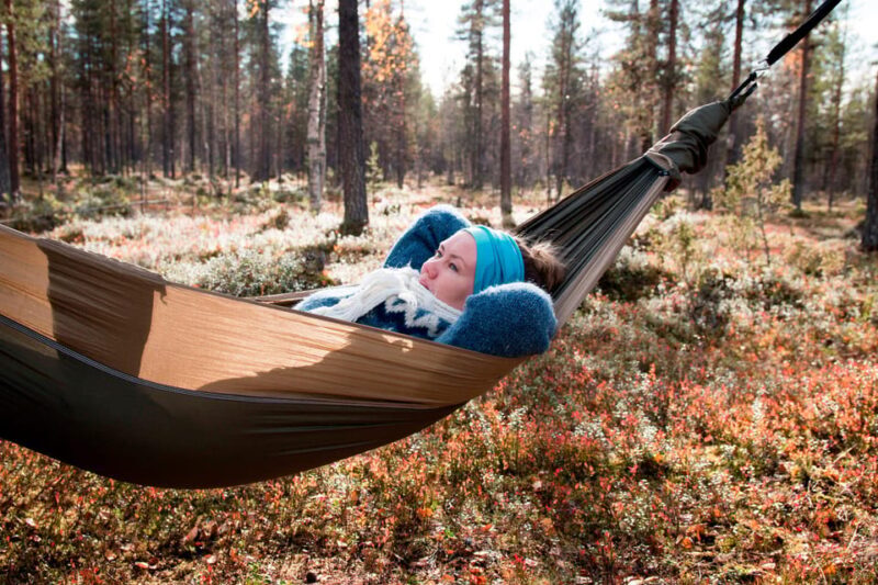 Finland Levi: Arctic Cocooning Experience in HaliPuu Forest - Practical Details and Tips