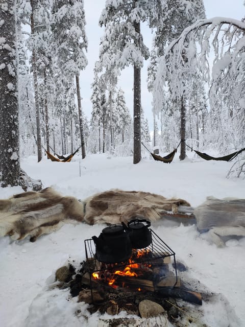 Finland Levi: Arctic Cocooning Experience in HaliPuu Forest - Final Thoughts