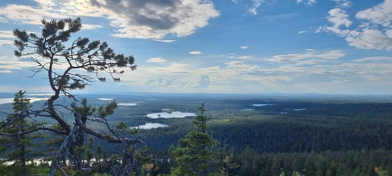 Finnish Lapland: Midnight Sun Hike in Riisitunturi np - Discovering the Magic of the Midnight Sun in Riisitunturi National Park