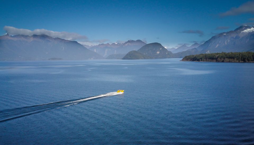 Fiordland: Jet Boat & Nature Walk Experience From Te Anau - Spotting Trout & Exploring Beech Forest
