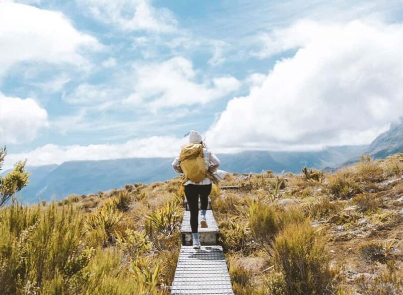 Fiordland: Routeburn Track and Key Summit Guided Day Walk - What to Expect: An Authentic Day in Fiordland’s Wilderness