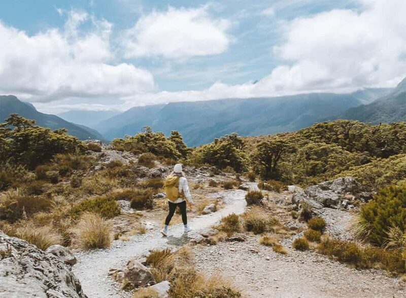 Fiordland: Routeburn Track and Key Summit Guided Day Walk - Who Will Love This Tour?