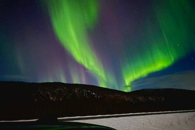 Fire & Ice: Chena Hot Springs, Ice Museum + Aurora Adventure - Key Points