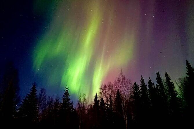 Fire & Ice: Chena Hot Springs, Ice Museum + Aurora Adventure - The Experience in Detail