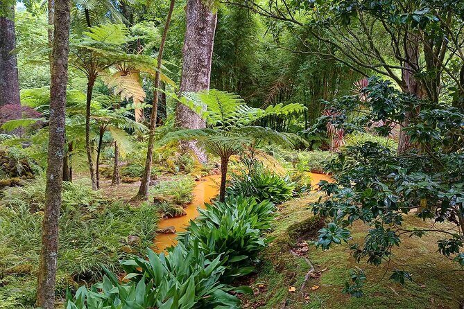 Fire Lagoon, Waterfall Route and Furna Tour - Authentic Experiences and Honest Impressions