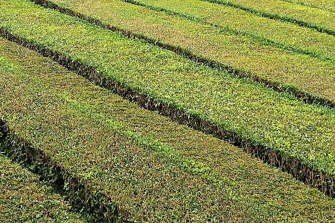 Fire Lagoon, Waterfall Route and Furna Tour - The Sum Up