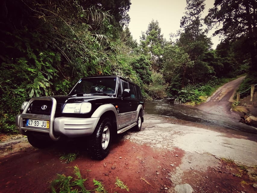Fire Lake, Pineapple & Tea: Half-Day Jeep Tour - What to Expect During the Tour