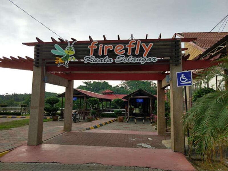 Firefly, Eagle Feeding, and Blue Tears Kuala Selangor Tour - An Overview of the Kuala Selangor Tour