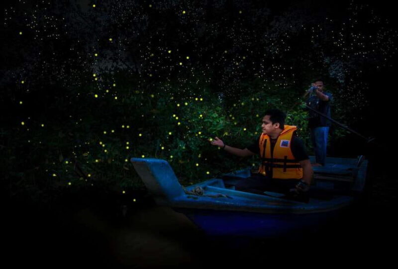 Firefly, Eagle Feeding, and Blue Tears Kuala Selangor Tour - Exploring the Fireflies at Kampung Kuantan