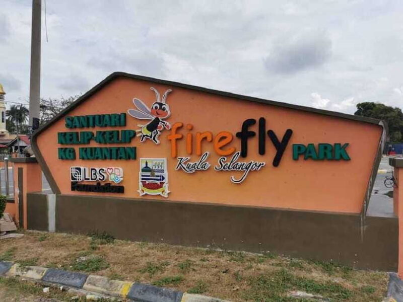 Firefly, Eagle Feeding, and Blue Tears Kuala Selangor Tour - Logistics and Practical Details