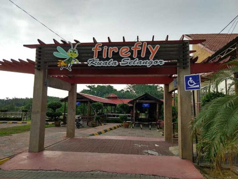 Firefly, Eagle Feeding, and Blue Tears Kuala Selangor Tour - The Sum Up: Is This Tour Right for You?
