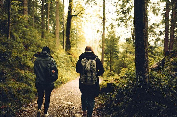 Firefly Sanctuary Tour in Puebla - Who Should Consider This Tour?