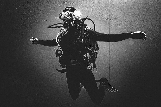 First Dive Experience in Tenerife - Pickup and Meeting Details