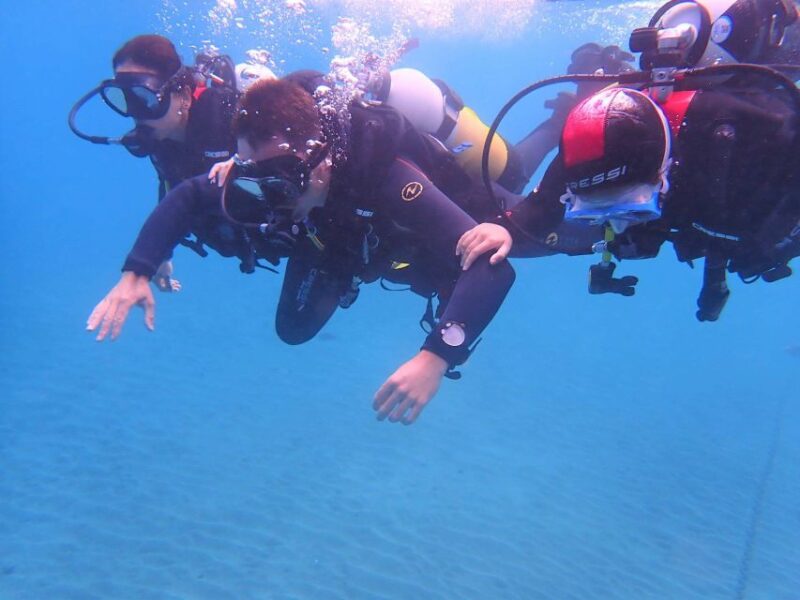 First Experience Underwater. Try Scuba Diving - Highlights of the Marine Life