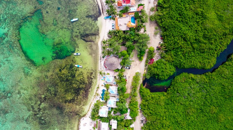 First Scuba Diving Experience in a Cenote - Itinerary and Activities