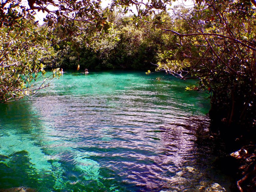 First Scuba Diving Experience in a Cenote - Frequently Asked Questions