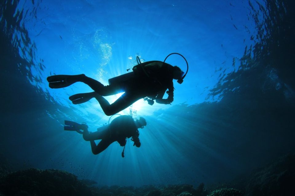 First Scuba Diving Session in Genoa - Recap