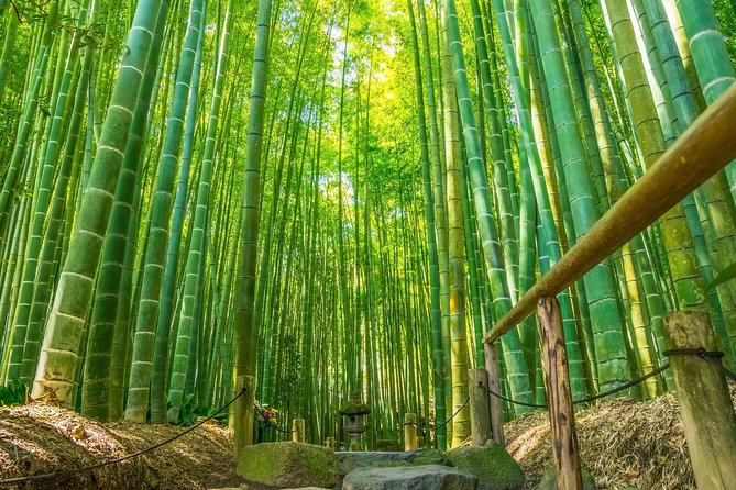First Time in Kamakura? Enjoy a Tour of All Must-Sees! - Participant Information