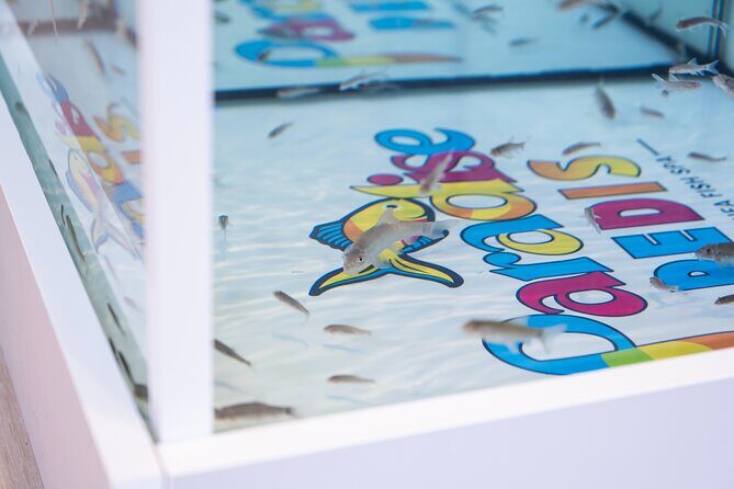 Fish, Fun & Feet  Caribbeans Largest Fish Spa Experience! - Location and Accessibility