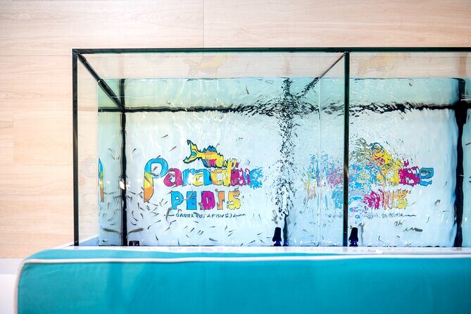 Fish, Fun & Feet  Caribbeans Largest Fish Spa Experience! - Price and Value