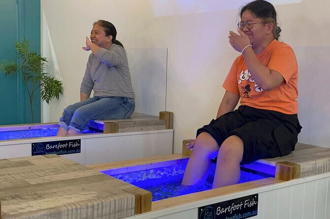 Fish Spa  10 Minute Session in Surfers Paradise! - The Hands-On Part of the Experience