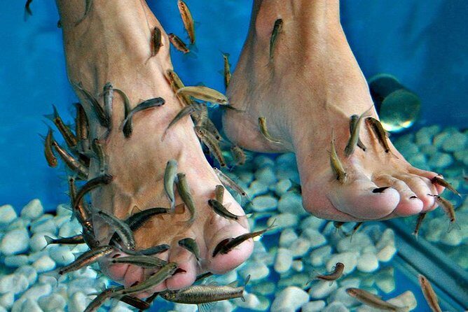 Fish Spa, Beach Break with Lounge Chairs, Umbrellas & Beach Area - What to Expect from This Beach and Fish Spa Experience