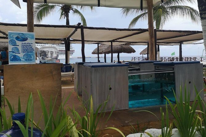 Fish Spa, Beach Break with Lounge Chairs, Umbrellas & Beach Area - Authentic Traveler Experiences