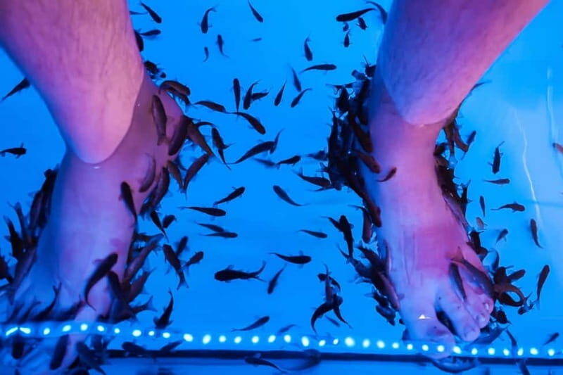 Fish Spa Experience - The Sum Up