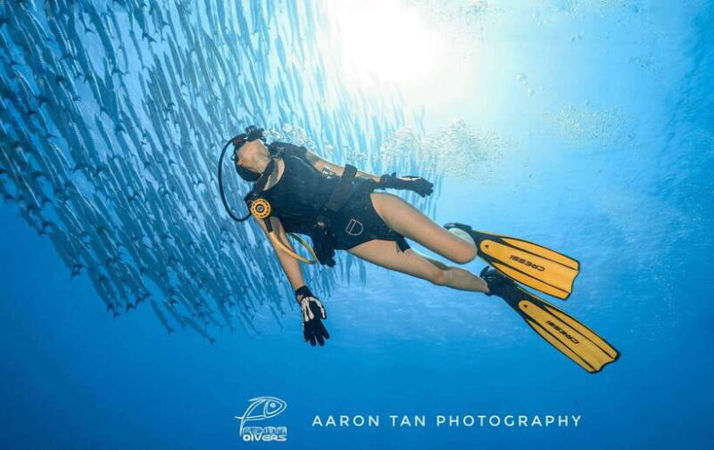 Fisheye Divers: Discover Scuba Diving - Introduction