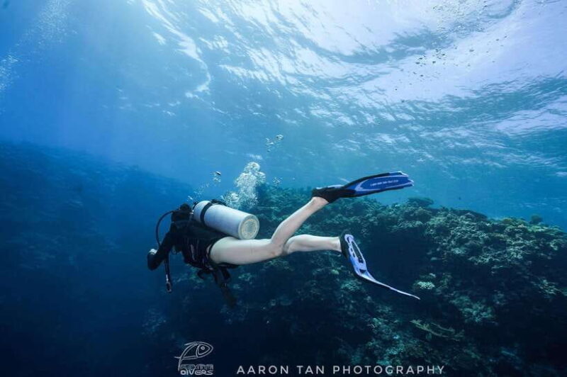 Fisheye Divers: Discover Scuba Diving - The Value of This Experience  
