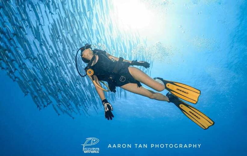Fisheye Divers: Discover Scuba Diving - Practical Tips for Travelers  