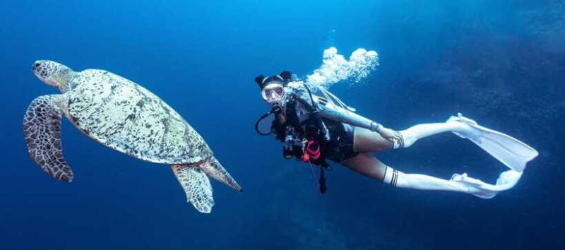 Fisheye Divers: Discover Scuba Diving - FAQ  