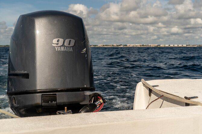 Fishing Adventure in Puerto Morelos with 26-foot Boat - Who Will Love This Tour?