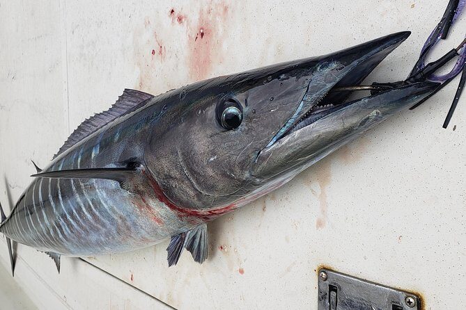 Fishing Charter 4 hours - Final Thoughts: Is It Right for You?