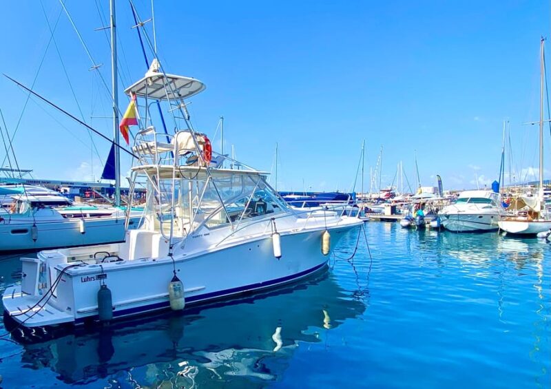 Fishing Charter 4h - Key Points