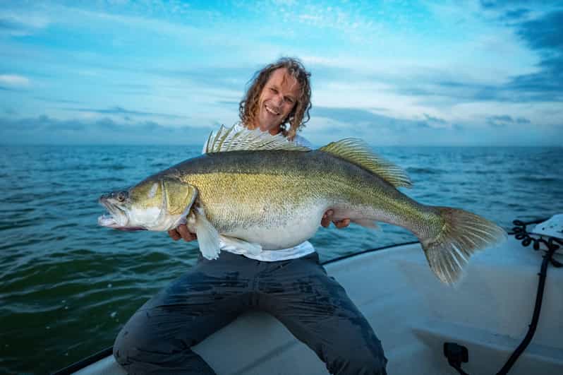 Fishing Guide - All Over Netherlands - Target Fish Species