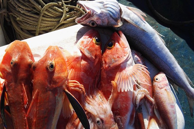Fishing in the Bay of Sorrento and Capri - Pricing and Value Proposition