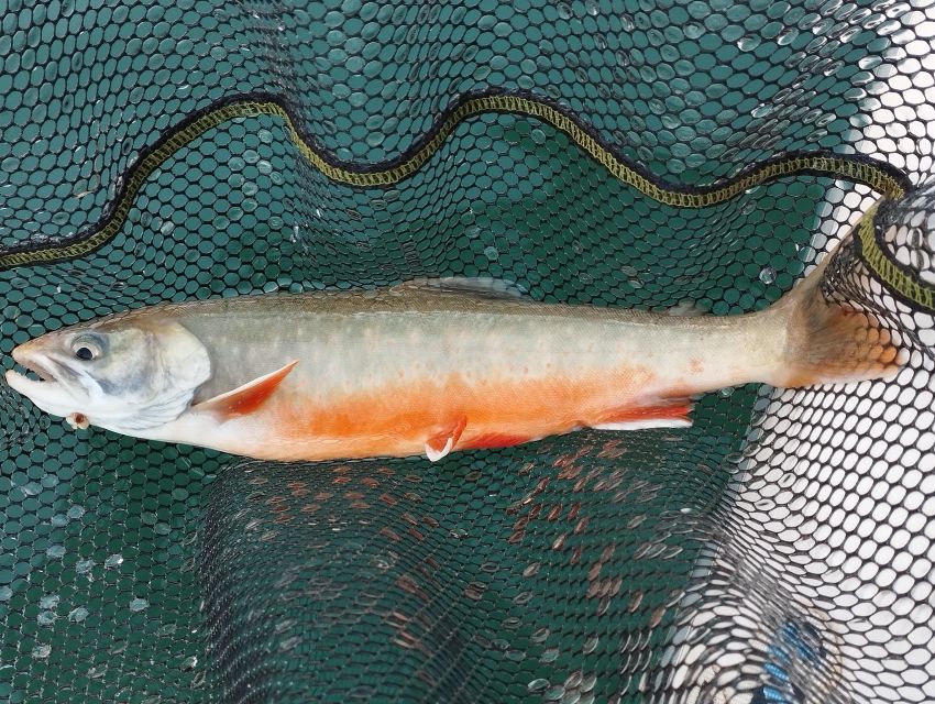 Fishing in the Dolomites: Book Your Wild Excursion! - Booking and Cancellation Policy