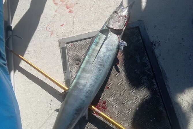 Fishing in Waikiki - Who Should Consider This Tour?