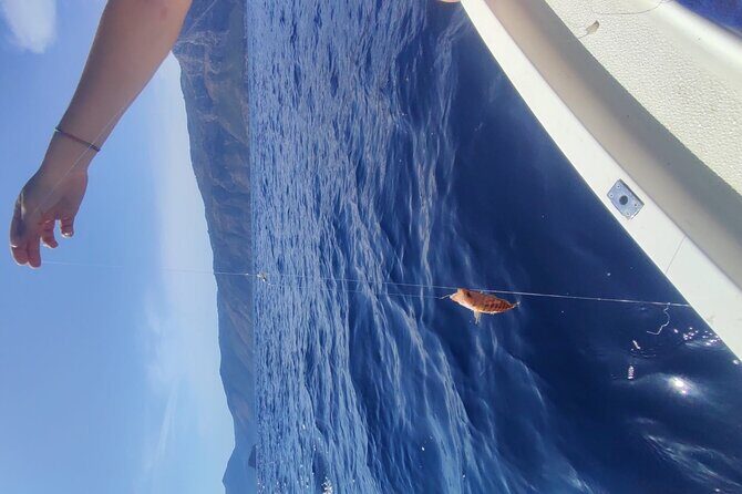 Fishing Tour from Sorrento to Capri - FAQ