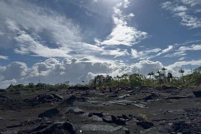 Fissure 8 Tour - Volcanoes National Park and Hilo Discovery - Deep Dive into the Itinerary