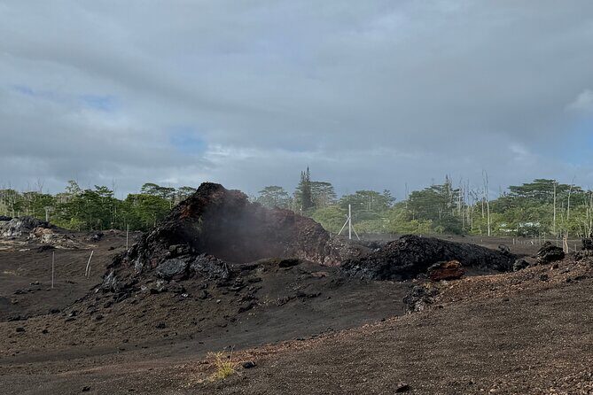 Fissure 8 Tour - Volcanoes National Park and Hilo Discovery - What Travelers Say