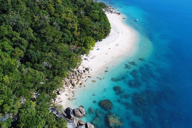 Fitzroy Island Day Trip 11am to 5pm Ferry INC Snorkel Equipment - Introduction: A Day on Fitzroy Island — What to Expect