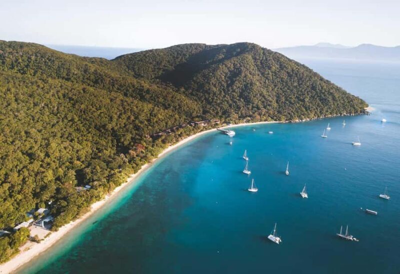 Fitzroy Island: Full-Day Ferry & Snorkel Safari Guided Tour - The Guided Snorkel Safari