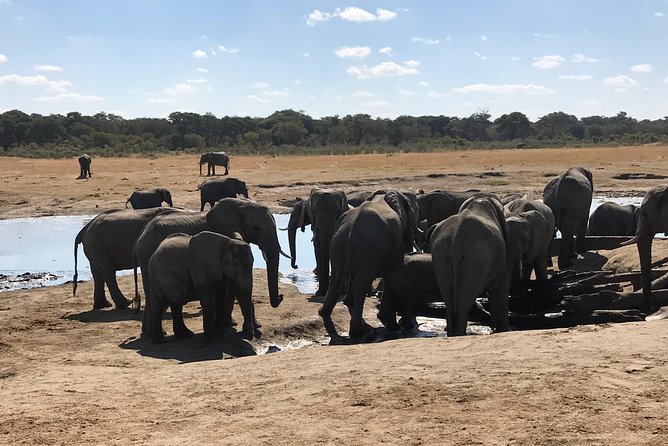 Five-Day Hwange NP, Chobe NP and Victoria Falls Combo - Good To Know
